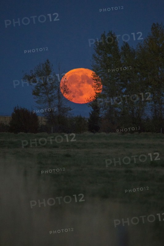 Orange full moon over landscape