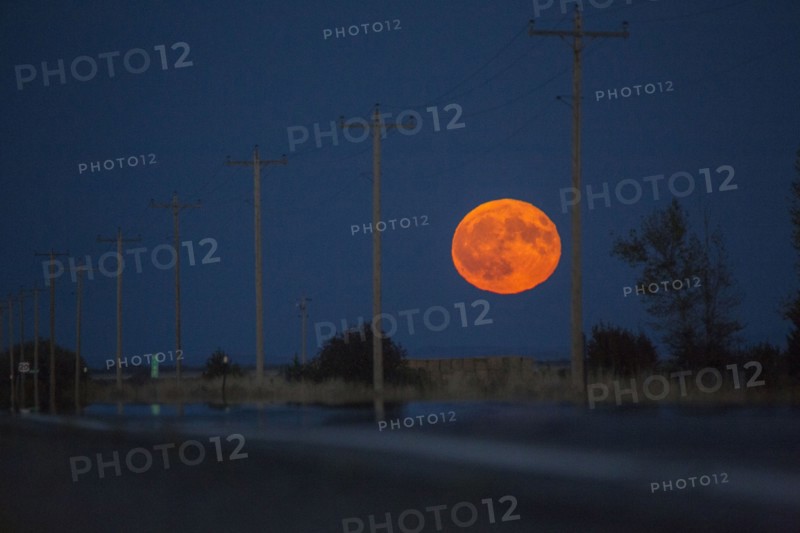 Orange full moon over utility poles