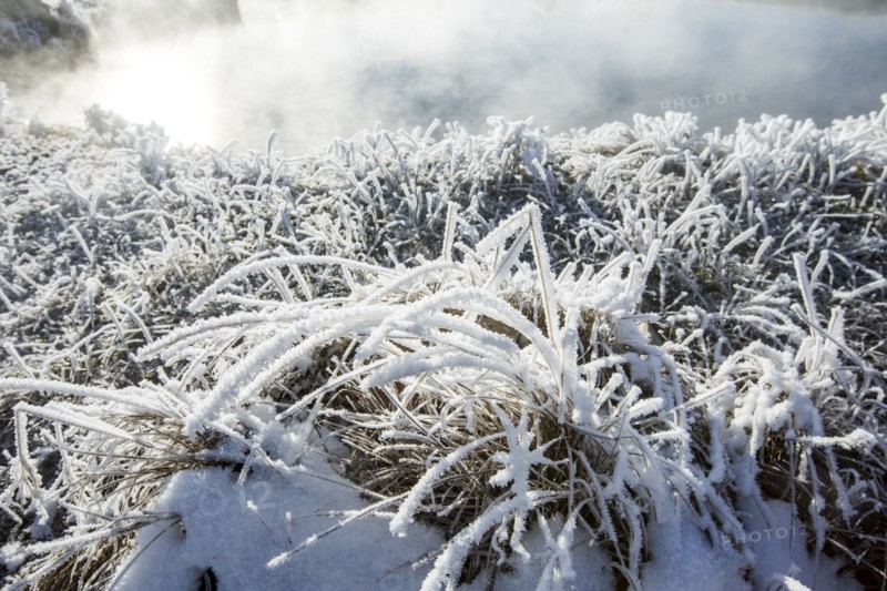 Frost on foliage at steaming hot springs