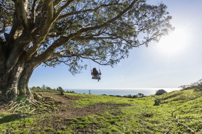 Caucasian woman on tree swing near ocean