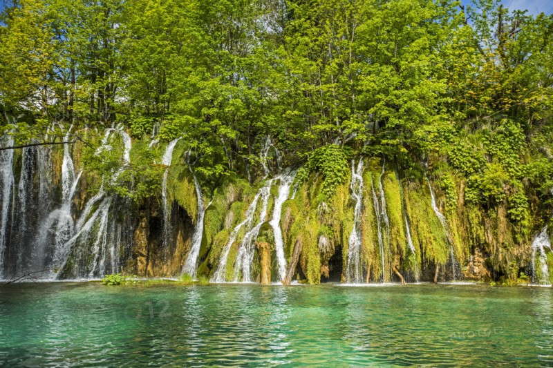 Trees over waterfalls