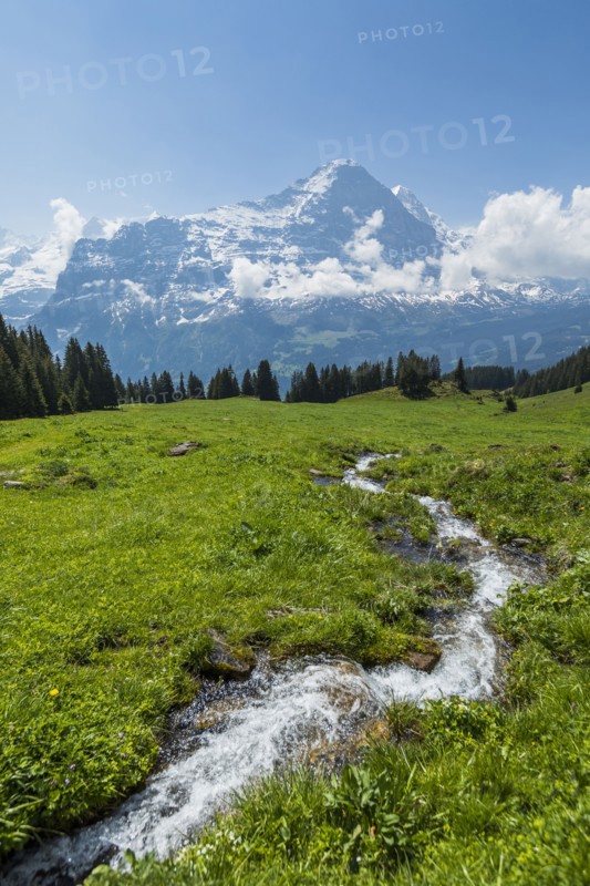 Stream in field near mountains