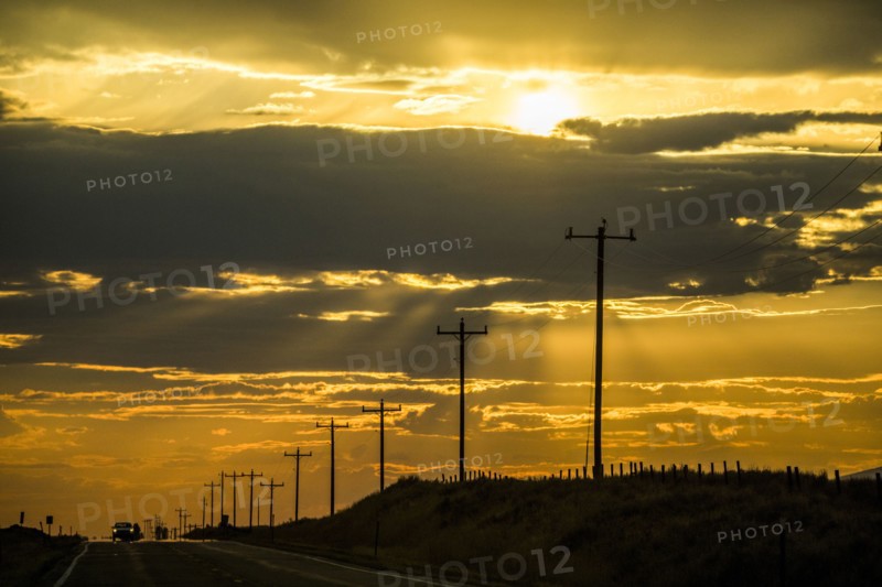 Road and utility poles at sunset