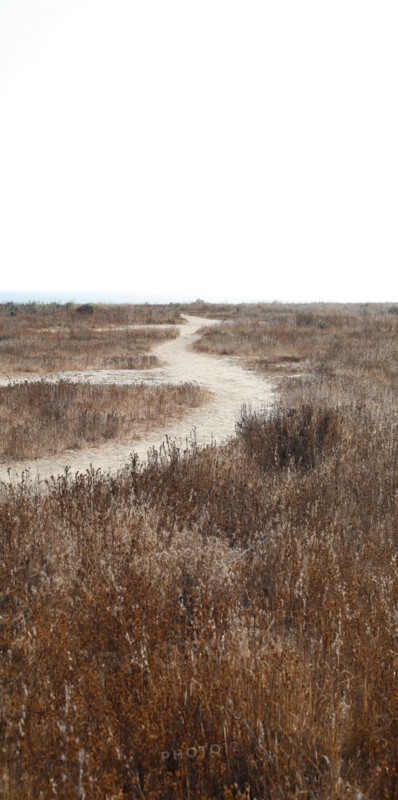 Dirt road through field