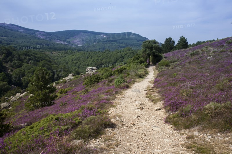 Dirt path on rural hillside