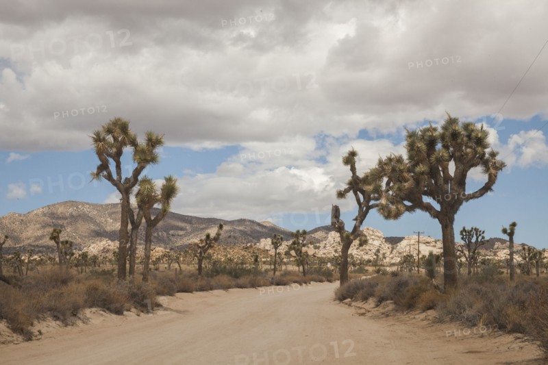 Empty road in rural desert landscape