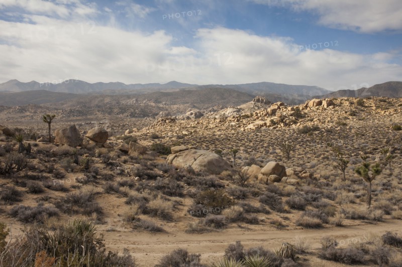 Dirt road in remote desert landscape