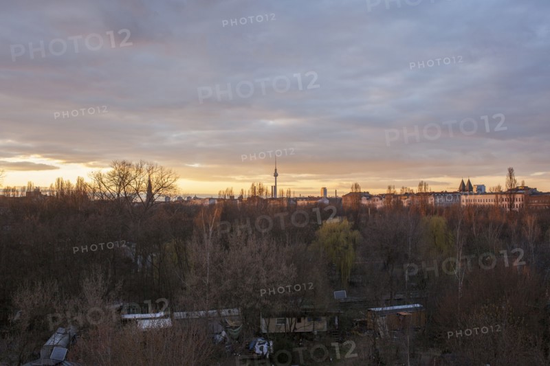 Treetops over Berlin cityscape