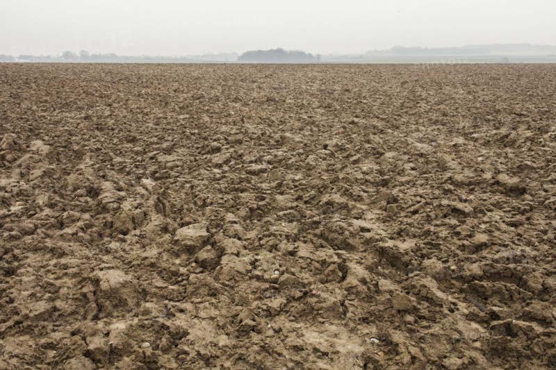 Mounded dirt in Waterloo Battlefield
