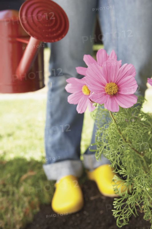 Woman watering flowers
