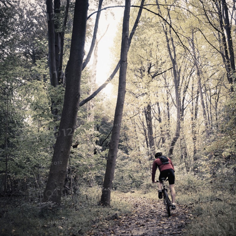 Caucasian man riding mountain bike in forest