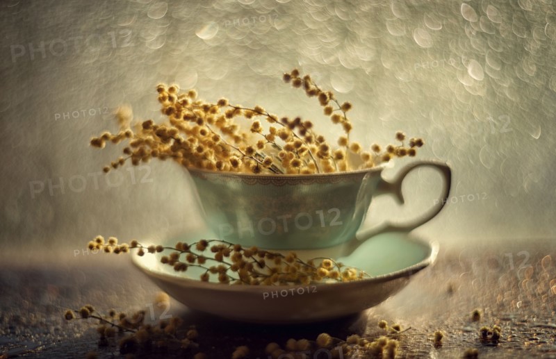 Dried flowers in teacup