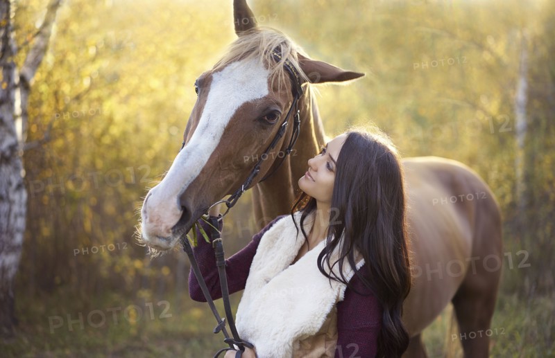 Caucasian woman petting horse