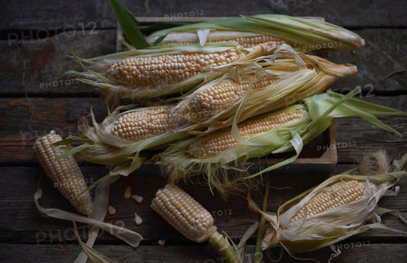 Fresh corn on wooden table