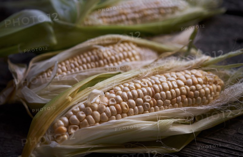 Fresh corn on wooden table