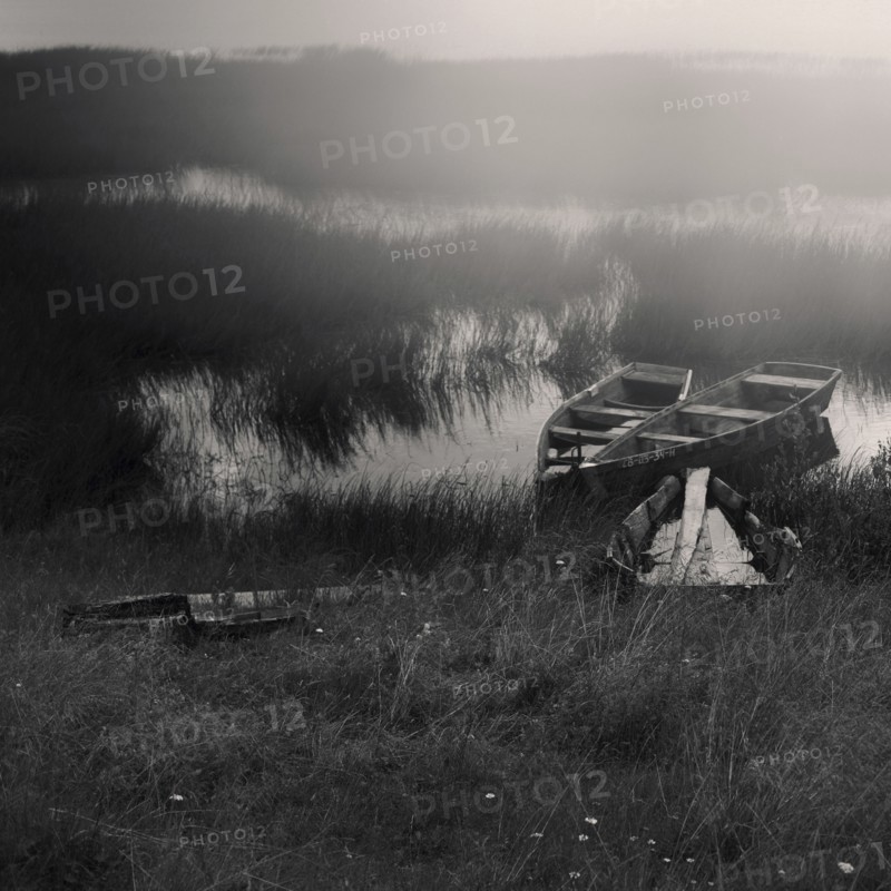 Canoes docked in tall grass in lake