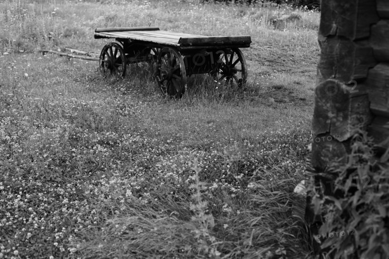 Wooden wagon in rural field