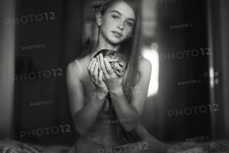 Caucasian girl holding pet chinchilla on bed