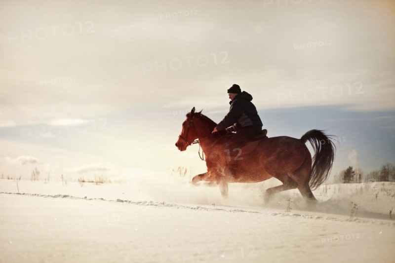 Caucasian man riding horse in snowy landscape