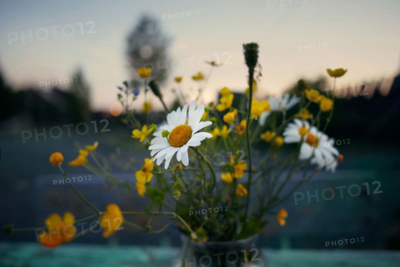 Flowers in vase outdoors