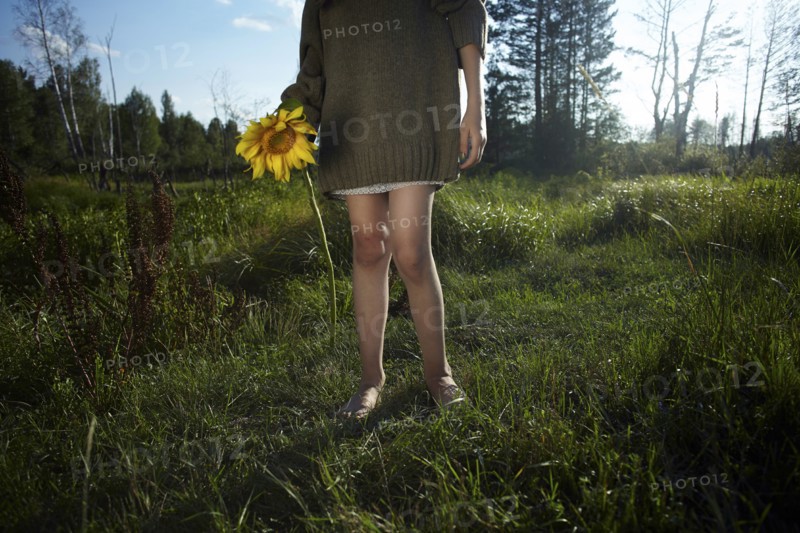 Low section of Caucasian girl wearing sweater holding sunflower