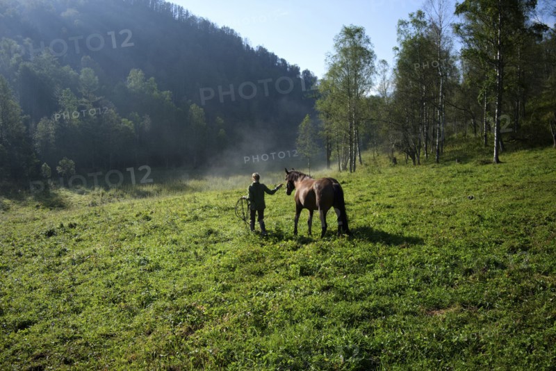 Caucasian girl walking horse in field