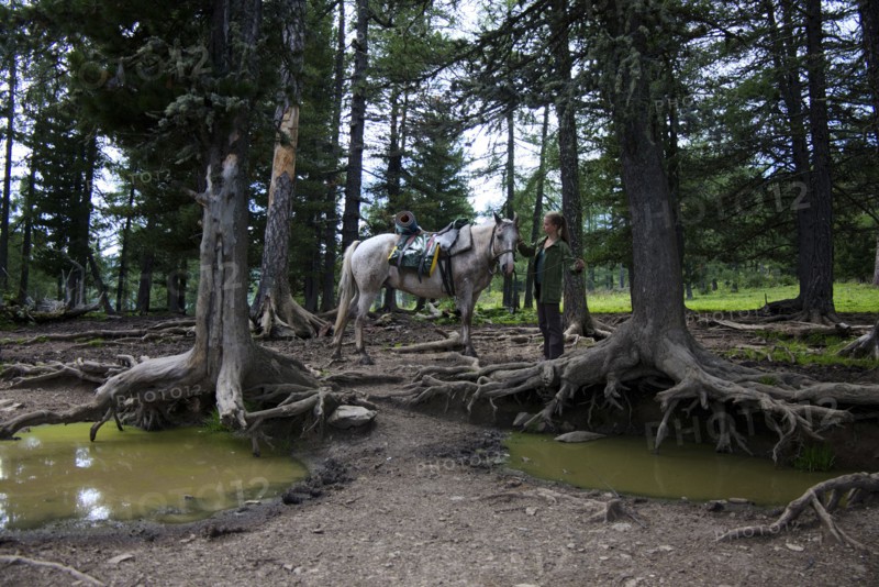 Caucasian girl petting horse in forest near puddles