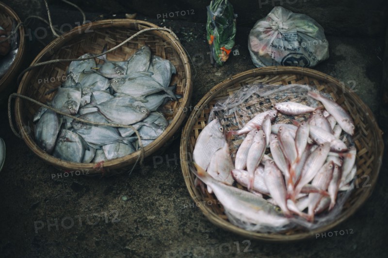 Baskets of fish