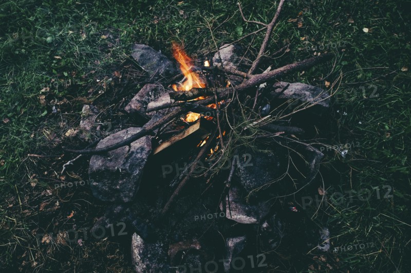 Branches in campfire