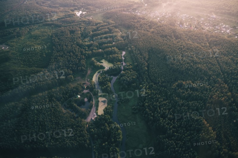 Aerial view of river and trees