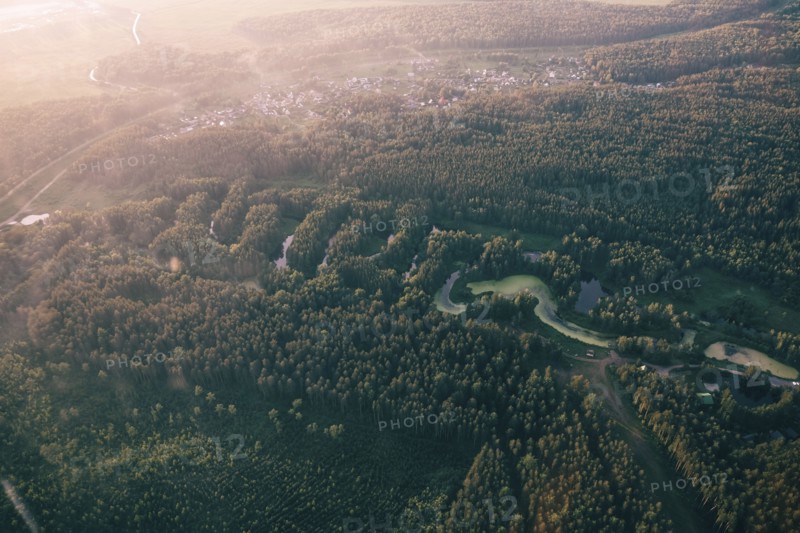 Aerial view of river and trees