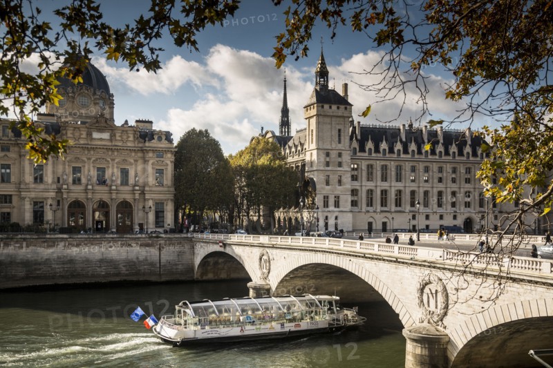 Buildings and bridge over river in Paris