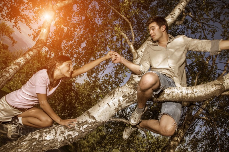 Couple holding hands on tree branch
