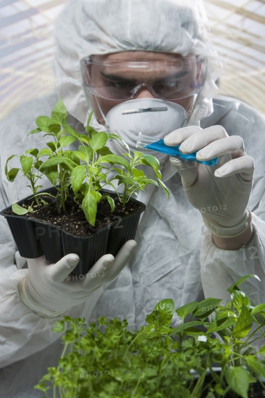 Caucasian scientist wearing clean suit pouring liquid on seedling