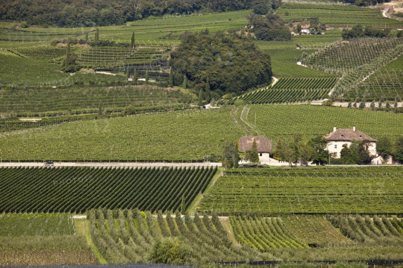 Aerial view of wine country
