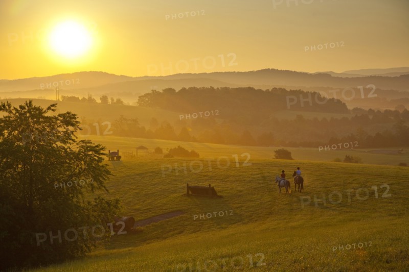 People horseback riding at sunset