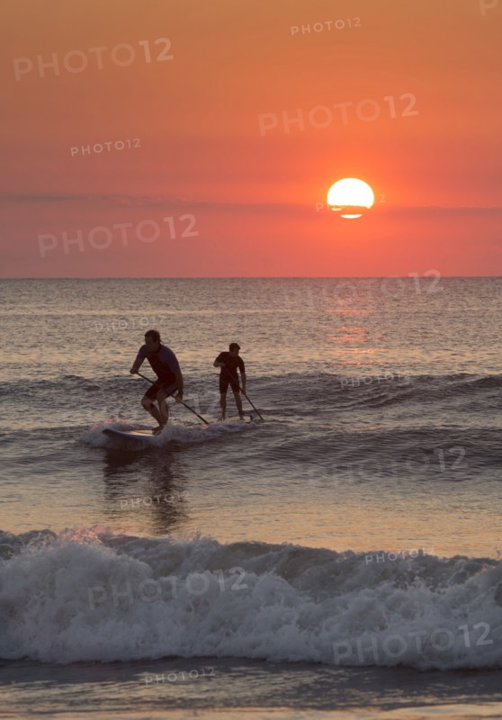 Silhouette of men paddleboarding on ocean waves