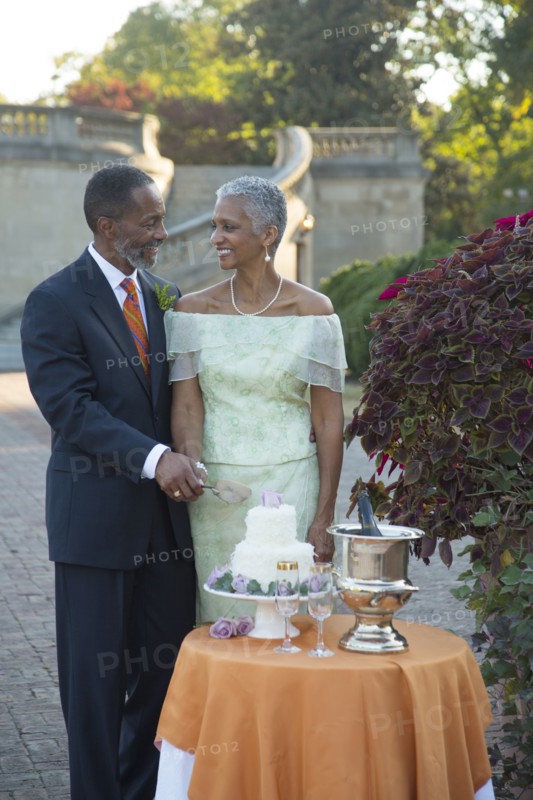 Black couple cutting wedding cake