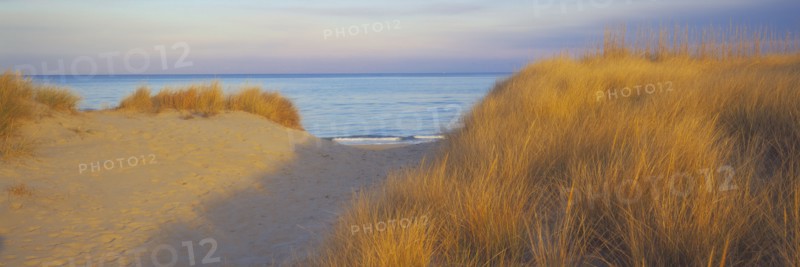 Path between sand dunes near ocean