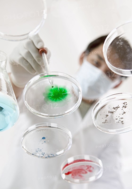 Man in lab with petri dishes