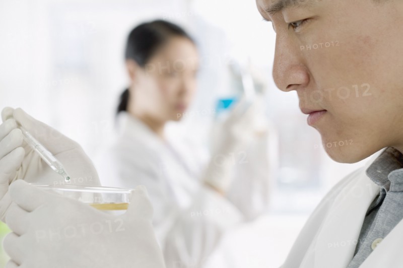 People working in lab