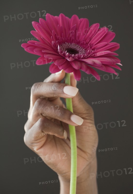 African woman holding flower
