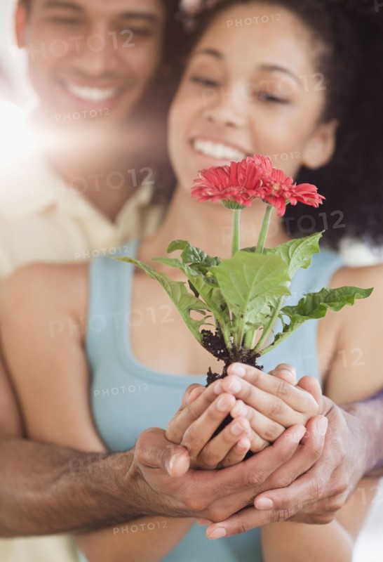 Couple cupping blooming seedling