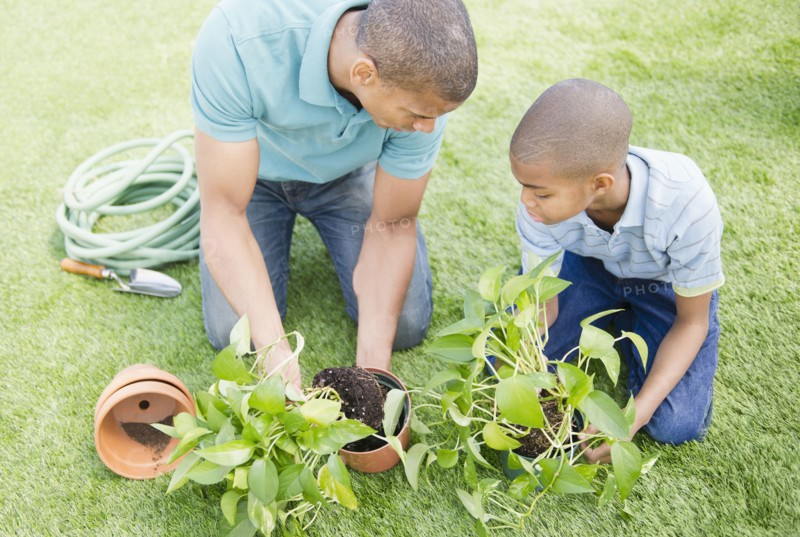 Father and son gardening