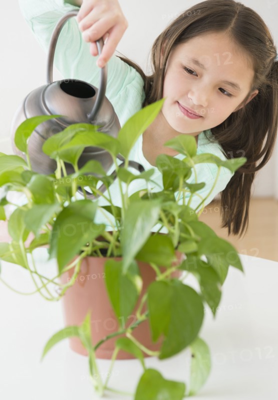 Mixed race girl watering indoor plants