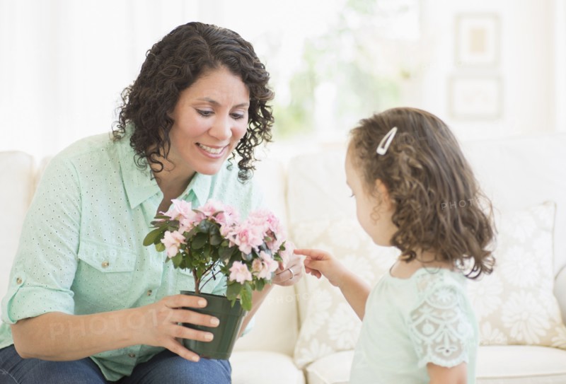Mixed race mother and daughter examining flowers