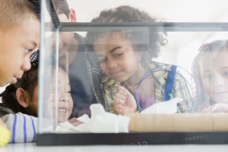 Children watching hamster