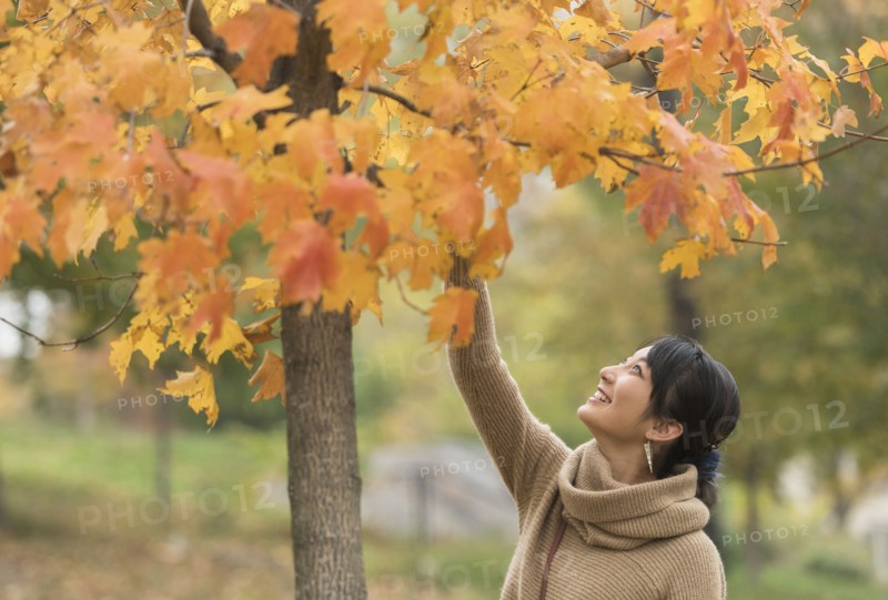 Asian woman reaching for autumn leaves in park