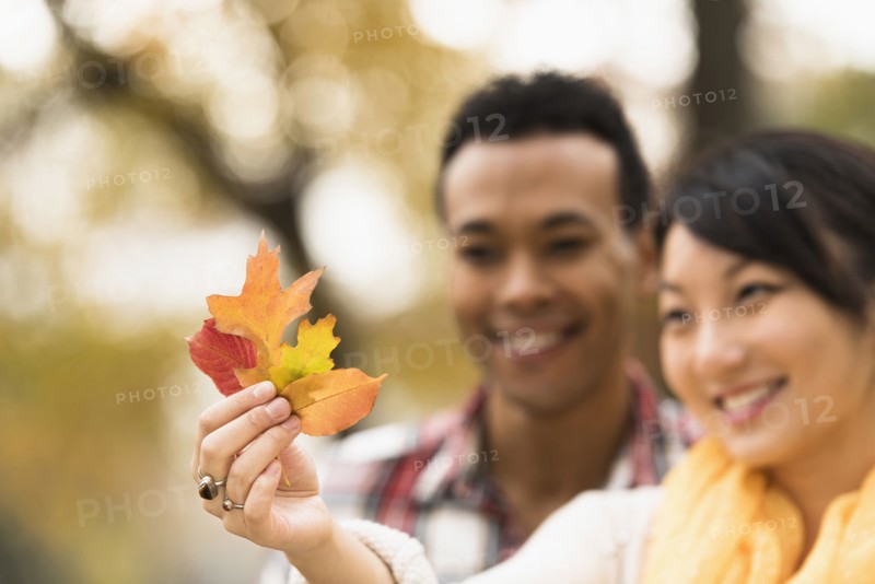Couple admiring autumn leaves outdoors