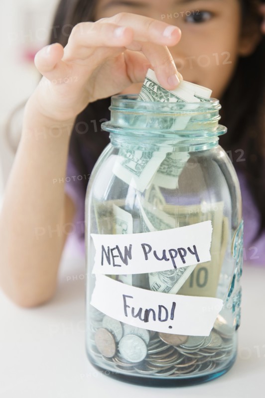 Vietnamese girl saving money in new puppy fund
